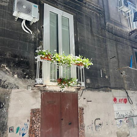 Le Casine Di Spaccanapoli Dış mekan fotoğraf